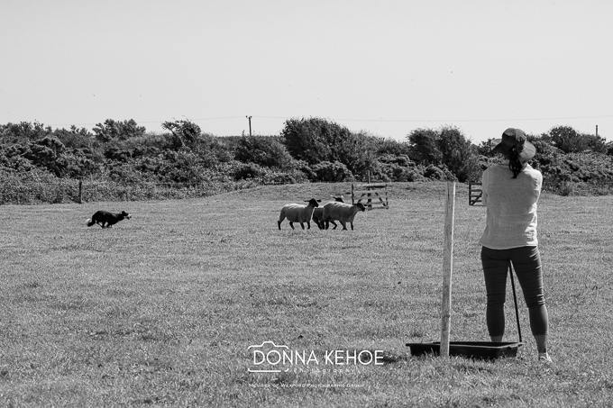 Rathangan Show 2026-10